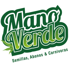 BAN BERRY X COCO CHIMERA- Mano Verde Seeds