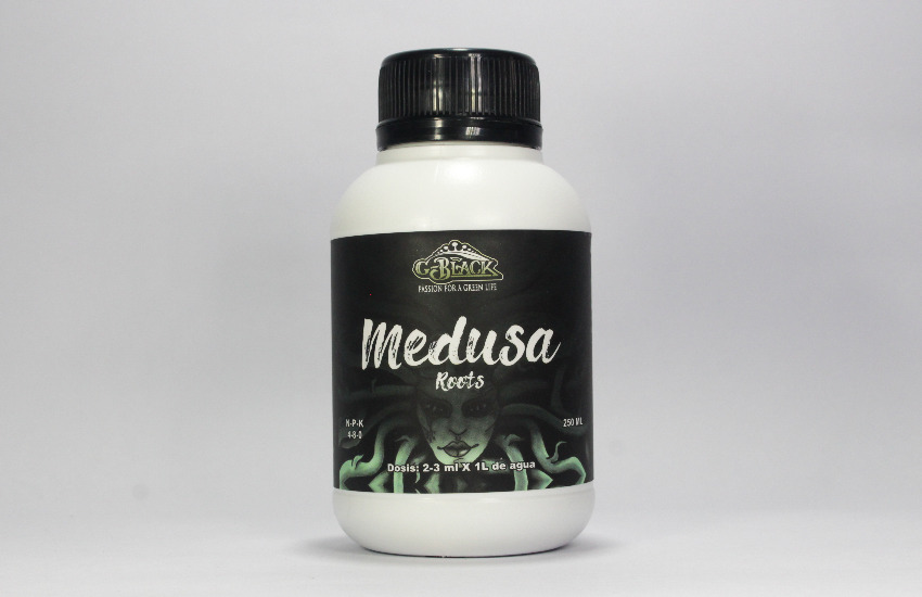 MEDUSA ROOTS - Gblack